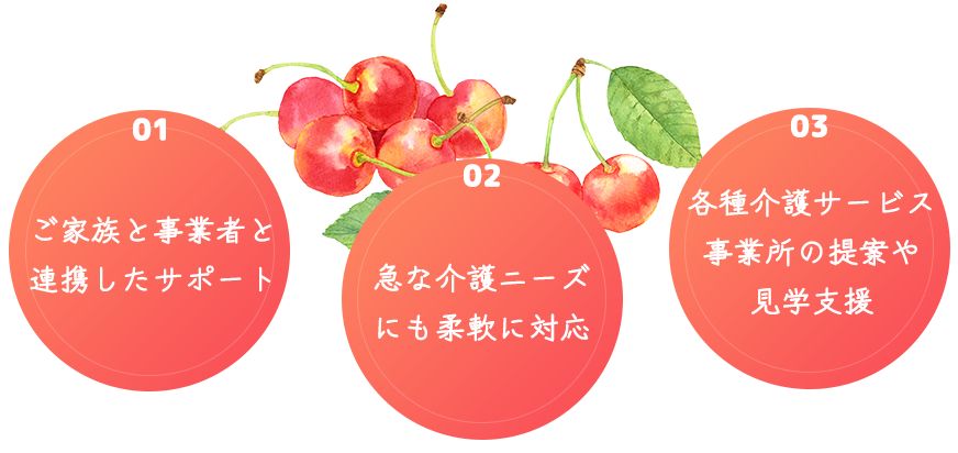 さくらんぼの強み